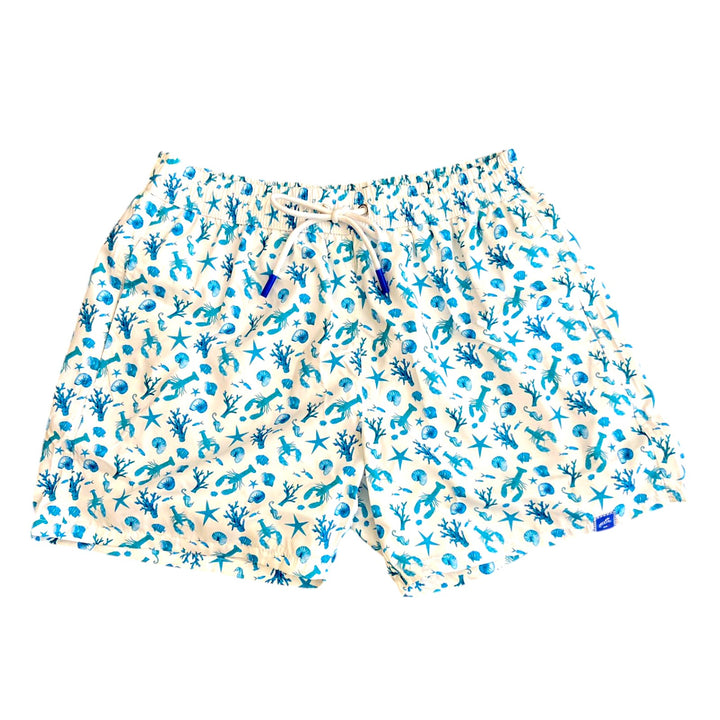 Traje de baño 2405 Acqua Marina