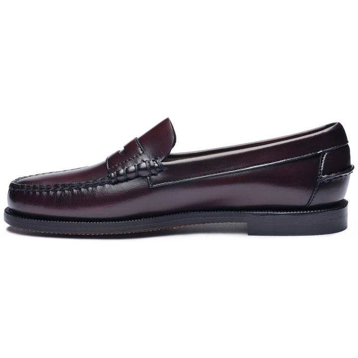 imagen-2-sebago-mocasines-hombre-piel-auténtica-goodyear-marrón-mocasines-clásicos-dan-m-brown